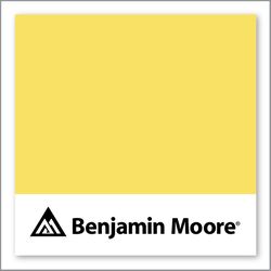 Benjamin Moore Delightful Yellow 335