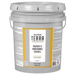 Evolve Terra Eggshell White Interior Latex Wall Paint Interior 5 gal