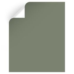 Magnolia Home by Joanna Gaines Olive Grove Peel & Stick Color Sample MAG085