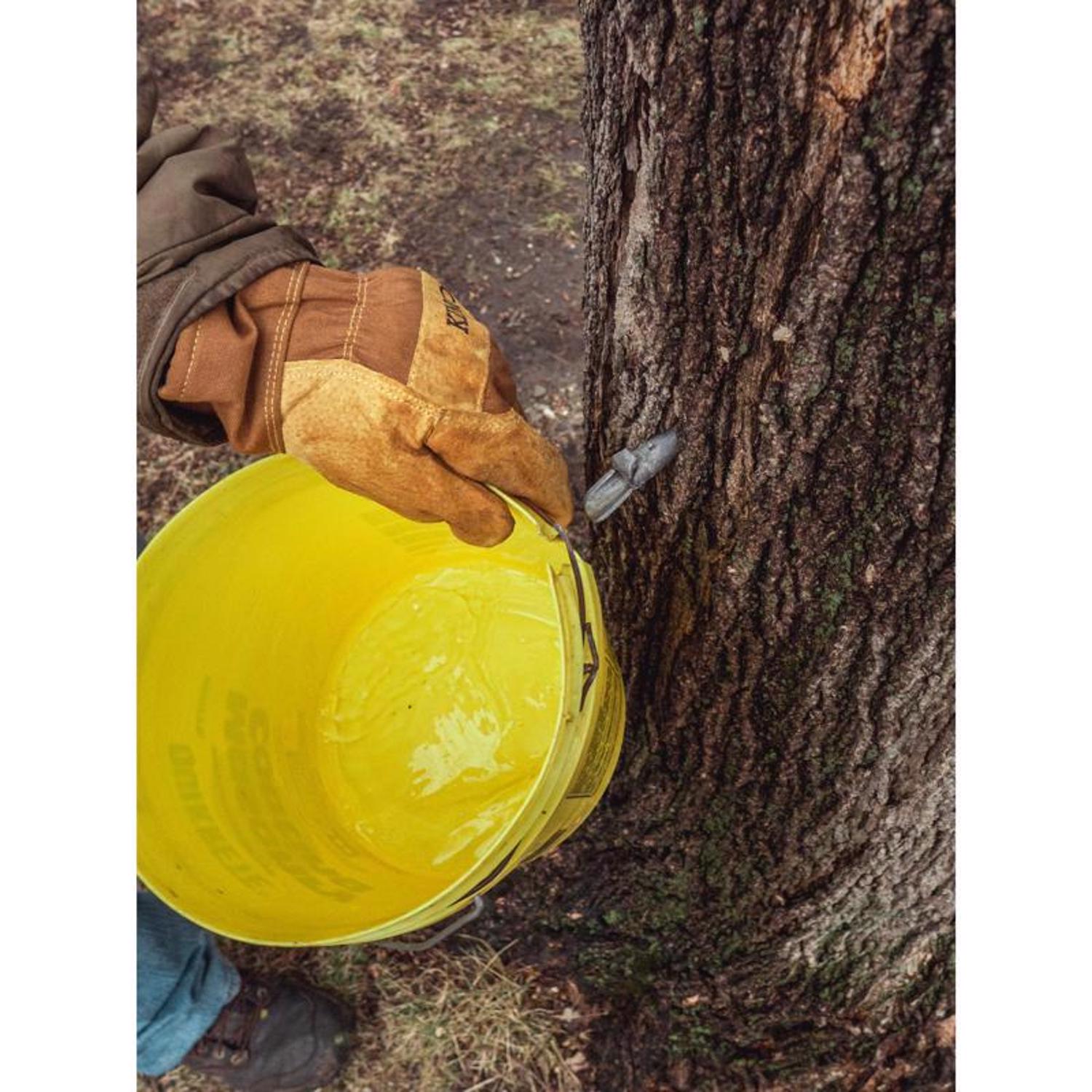 image-10