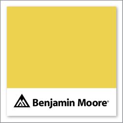 Benjamin Moore Sunny Afternoon 356
