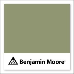Benjamin Moore Thayer Green CSP-825