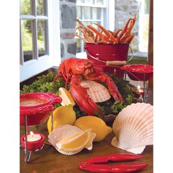 Nantucket Seafood Natural Scallop Shells Baking Shells