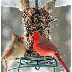 Birds Choice Bird Seed 2 lb