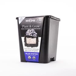 North Spore Plant & Grow Blue Oyster Mushroom Vegetable Plant