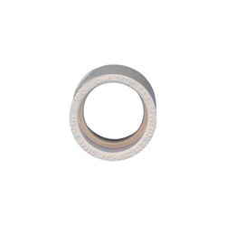 Charlotte Pipe FlowGuard 3/4 in. Socket X 3/4 in. D Socket CPVC Coupling 1 pk