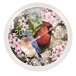 Taylor Bird Design Dial Thermometer Plastic Multicolored 13.25 in.