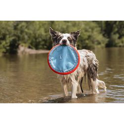 Chuckit! For Dog Blue/Orange Nylon Paraflight Flying Dog Toy Large 1 pk