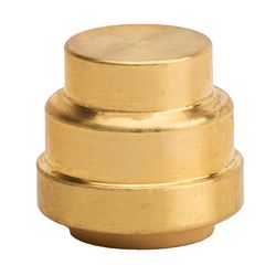 QuickFitting Push to Connect 1/2 in. PF Brass Cap