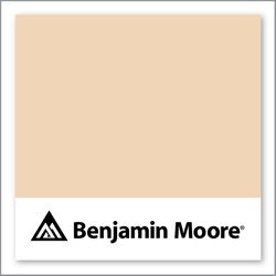 Benjamin Moore Wellesley Buff 107