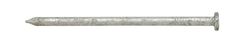 Ace 10D 3 in. Common Hot-Dipped Galvanized Steel Nail Flat Head 5 lb