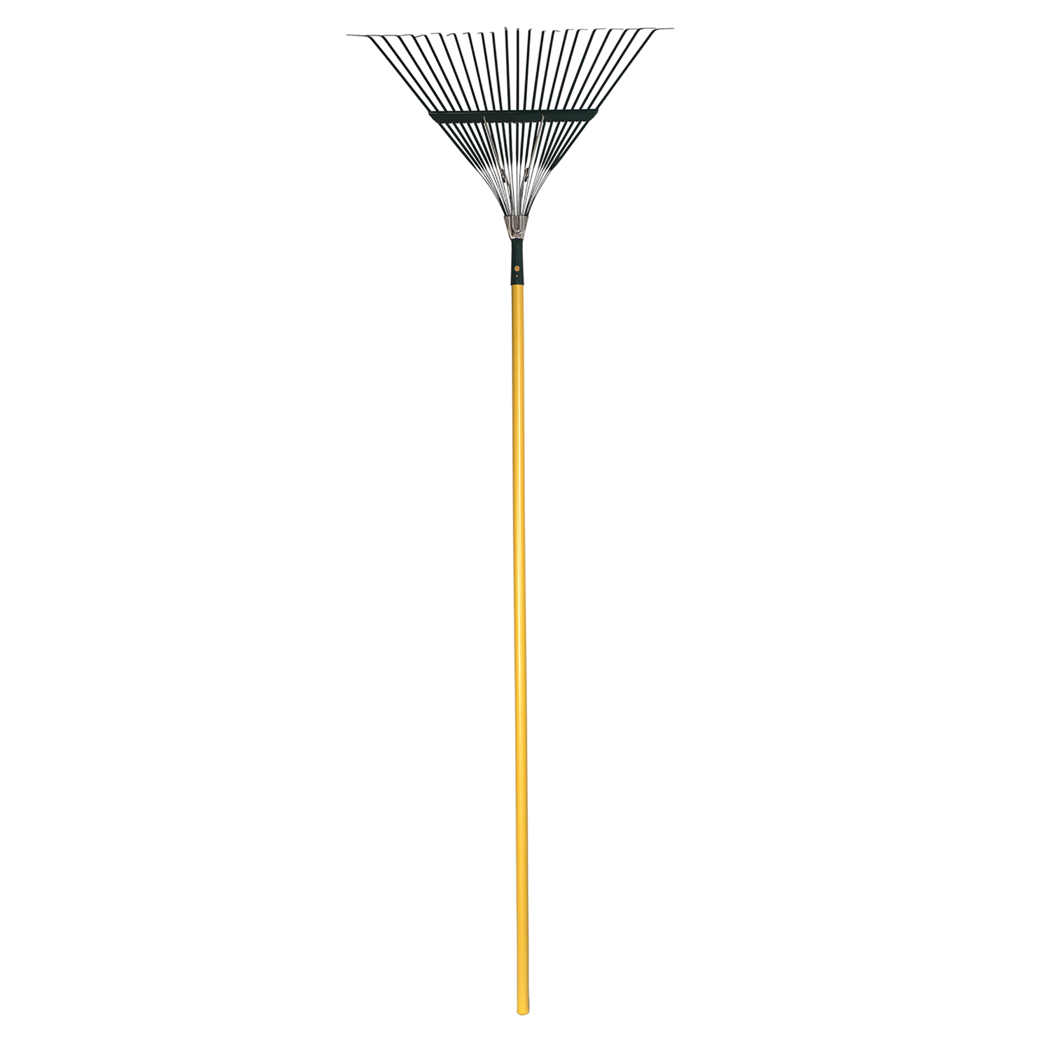 image-1