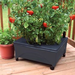 City Pickers 11 in. H X 24 in. W X 20 in. D Resin Garden Bed Charcoal
