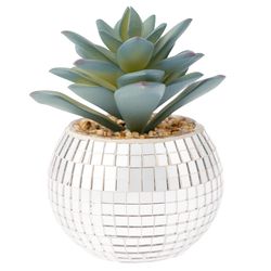 Karma 5 in. H X 3 in. L Silver Glass/Plastic Disco Succulent Pot