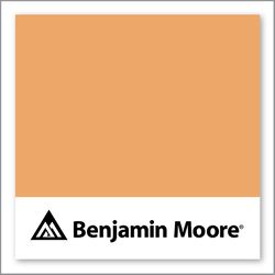 Benjamin Moore Orange Appeal 124