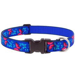 LupinePet Blue/Pink Social Butterfly Nylon Dog Adjustable Collar Medium