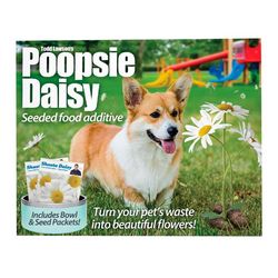 Prank-O Poopsie Daisy Prank Gift Box Paper 1 pk