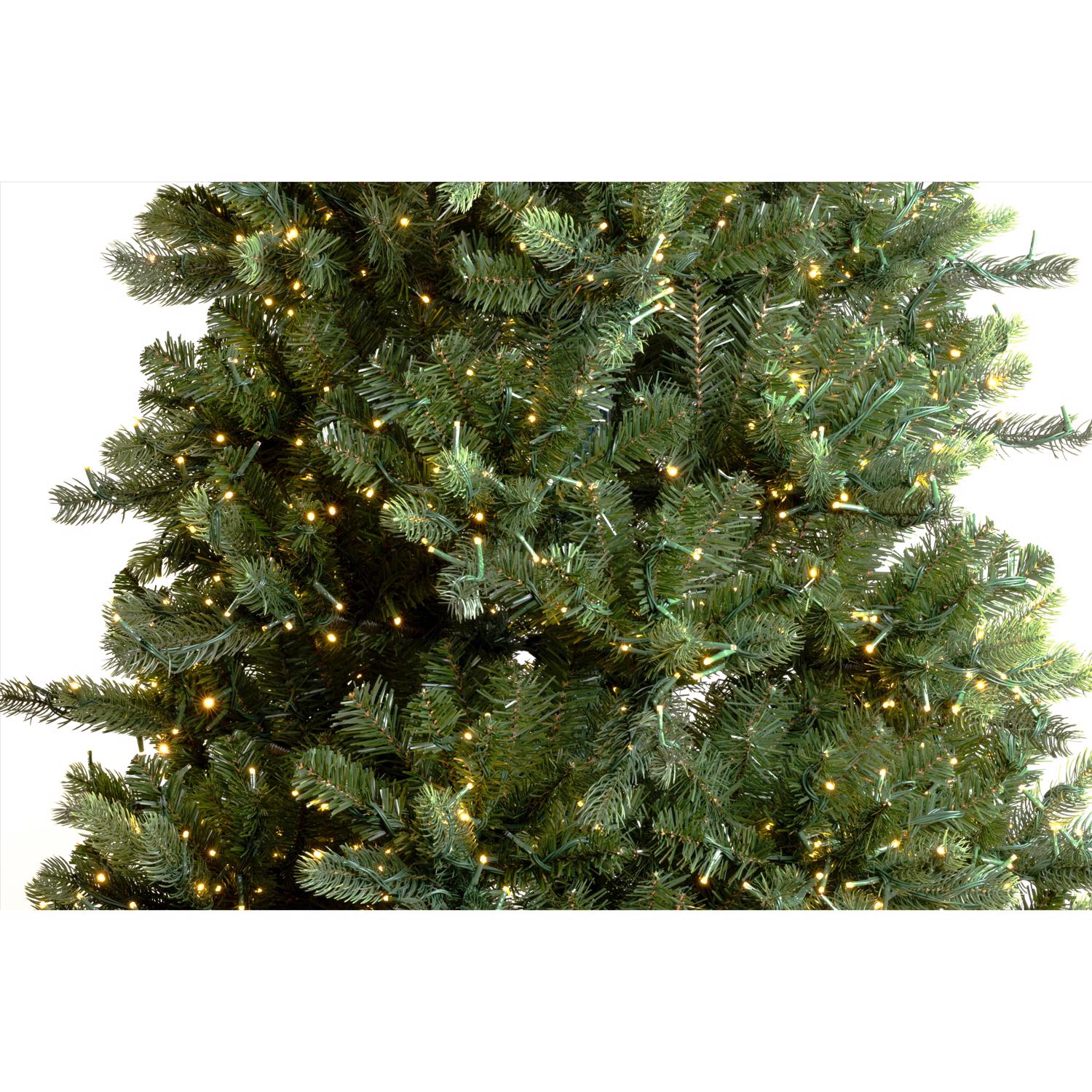 image-2