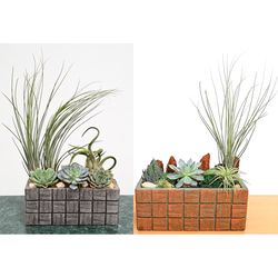 Eve's Garden 11 in. H X 8 in. D Ceramic Assorted Tile Vase Air Plant and Succulent Brown/Gray