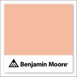 Benjamin Moore Amber Winds 073