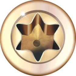 GRK Fasteners No. 8 in. X 2 in. L Star Trim Head W-Cut Trim Screws