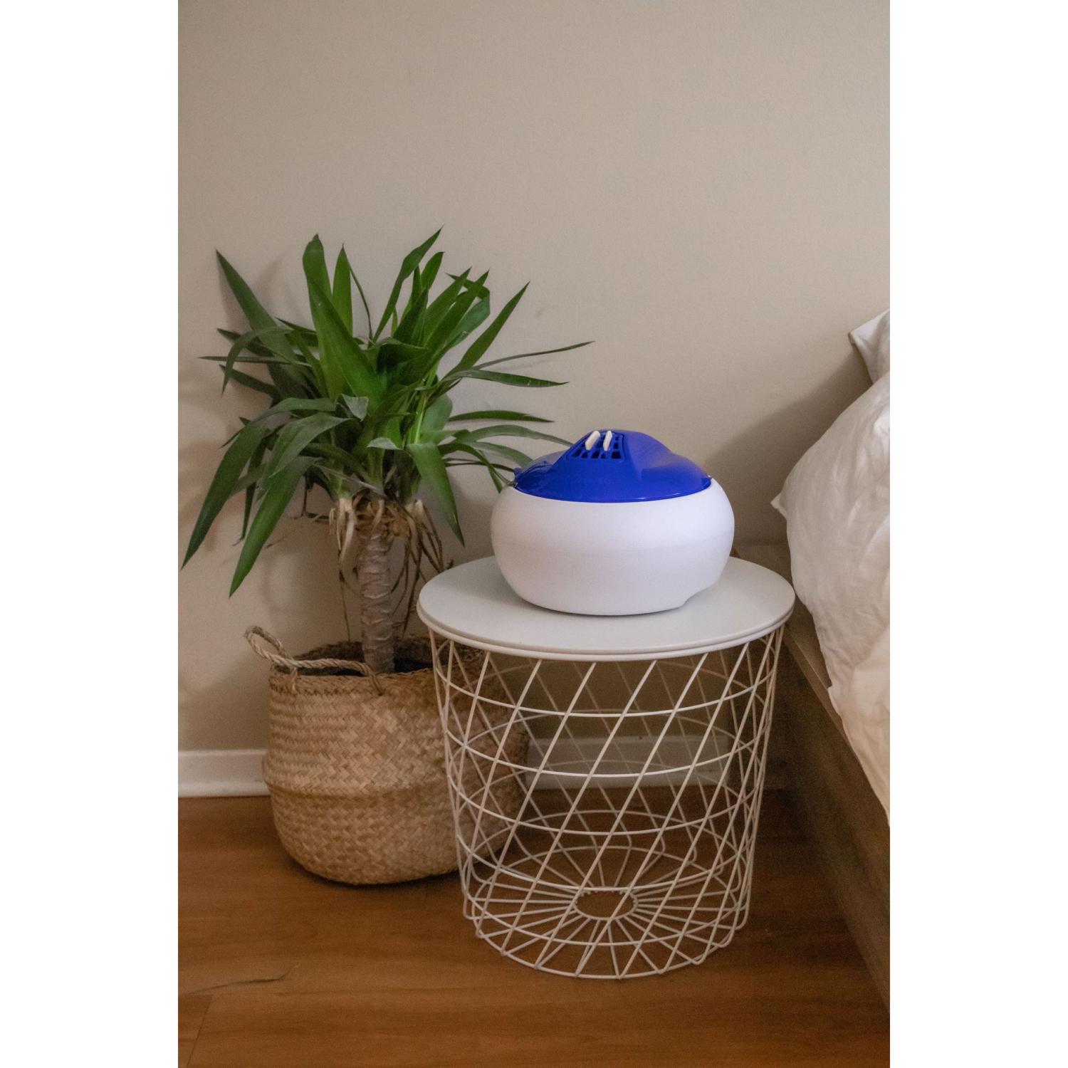 image-4