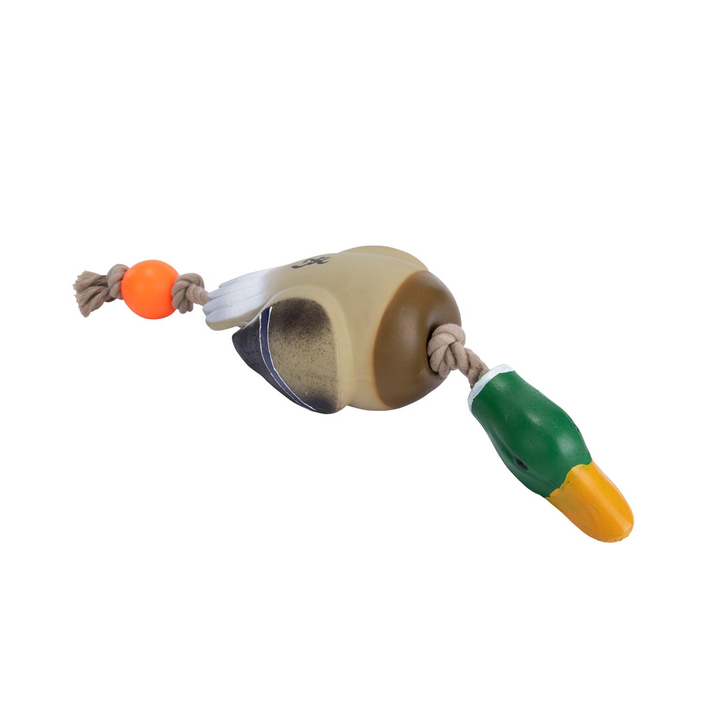 image-4