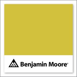 Benjamin Moore Citrus Burst 364