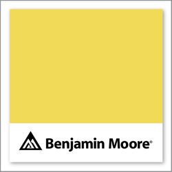 Benjamin Moore St. Elmo'S Fire 362