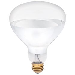 Westinghouse 250 W R40 Reflector Incandescent Bulb E26 (Medium) White 2 pk