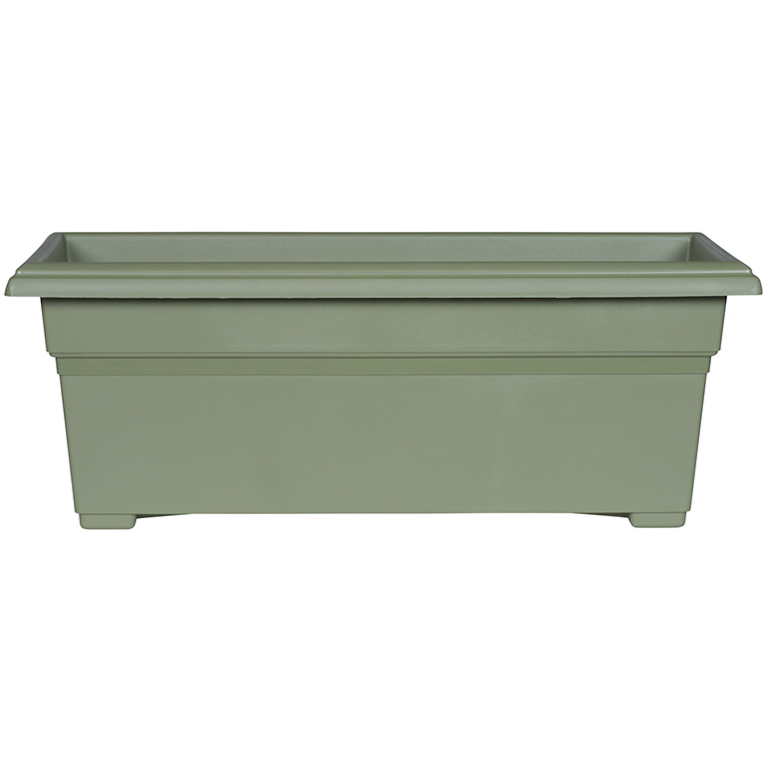 image-1