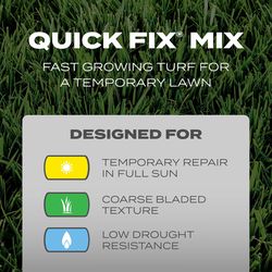 Scotts Turf Builder Mixed Full Sun Grass Seed 3 lb