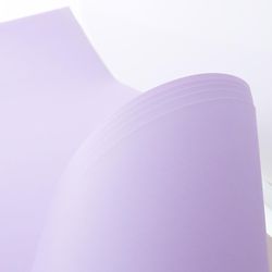 Bazic Products 22 in. W X 28 in. L Lavender Poster Board