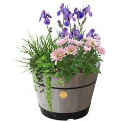 VegTrug 13.38 in. H X 18 in. D Cedar Barrel Gray