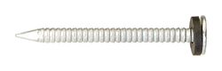 Ace 2 in. Roofing Galvanized Steel Nail Round Head 1 lb
