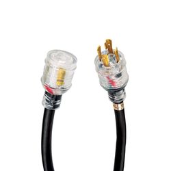 Reliance Controls 10/4 120/240 V 10 ft. L Generator Power Cord