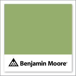 Benjamin Moore Kiwi 544