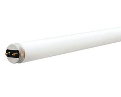 Satco 40 W T8 1 in. D X 60 in. L CFL Bulb Bright White Linear 4100 K 6 pk