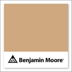 Benjamin Moore Acorn Yellow 2161-40