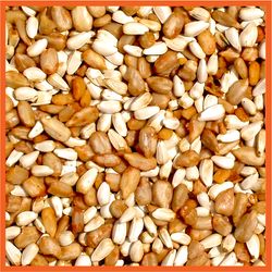 Cole's Cajun Cardinal Wild Bird Food 10 lb