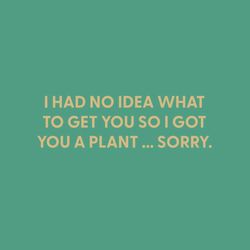 Chive I Had No Idea What to Get You So I Got You a Plant... Sorry Blank Greeting Card