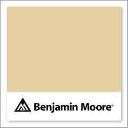 Benjamin Moore Desert Tan 2153-50