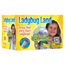 Insect Lore Ladybug Growing Kit Multicolored