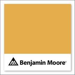 Benjamin Moore Glen Ridge Gold 301