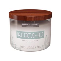 Candle Lite Essential Elements White Baja Cactus/Kelp Scent Candle 14.75 oz
