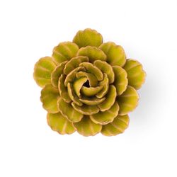 Chive France 2.36 in. H X 4.72 in. L Glazed Green Ceramic Peony Wall Flower