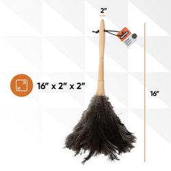 Superio Brand Ostrich Feather Duster 2 in. L 1 pk