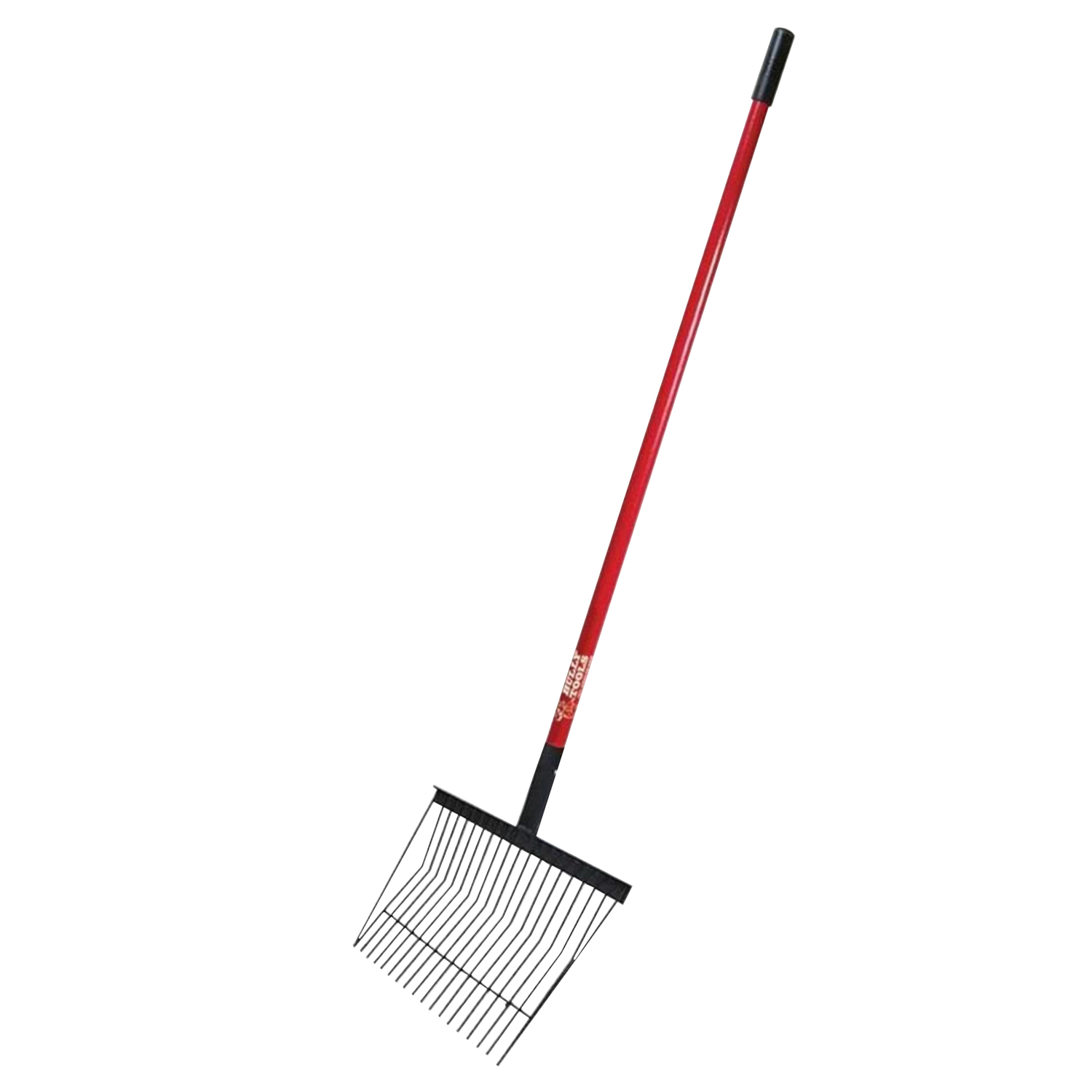 image-1