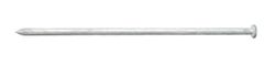 Ace 10 in. Spike Hot-Dipped Galvanized Steel Nail Diamond Head 5 lb