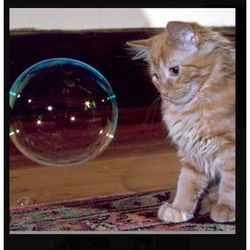 Multipet Catnip Garden Grain Free Catnip Bubbles For Cats 5 oz 1 pk